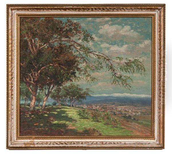 California Landscape - view 1