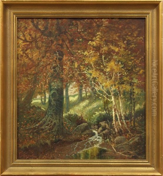 Autumn Landscape - view 1