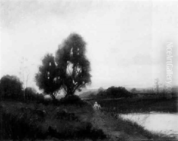 Path Near The Lake - view 1