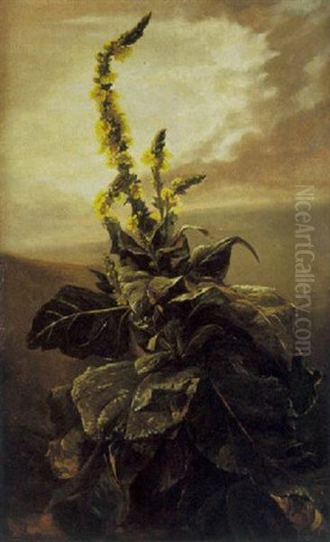 Jetee De Fleurs - view 1