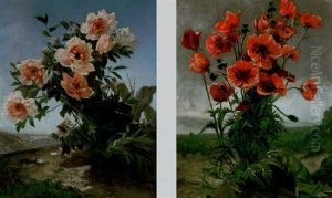 Wild Flowers