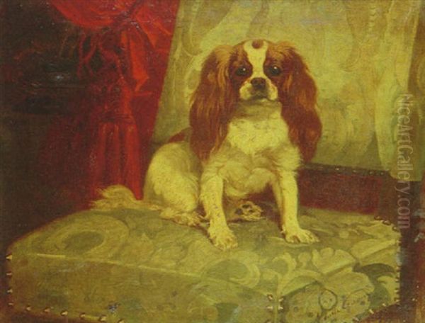 King Charles Sur Une Chaise Damassee - view 1