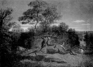 Le Cerf Aux Abois