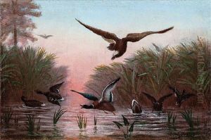 Mallards In Flight, Descent Of Bald Eagle At Dawn by Charles Giroux