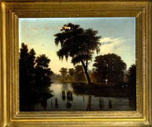 Fisherman On The Louisiana Bayou
