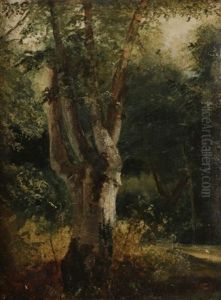 Arbre Arbre
