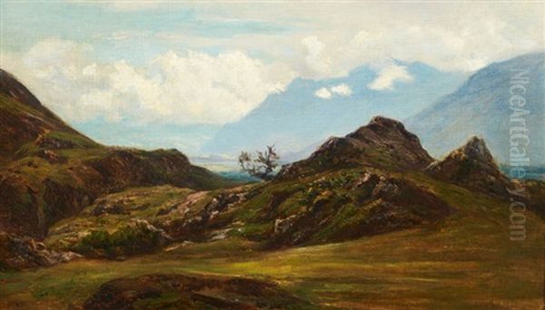 Paturage De Haute Montagne - view 1