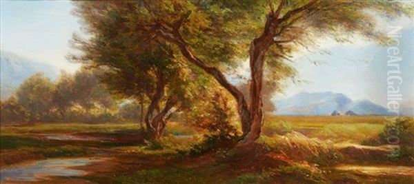 Deux Arbres Au Milieu De La Prairie - view 1