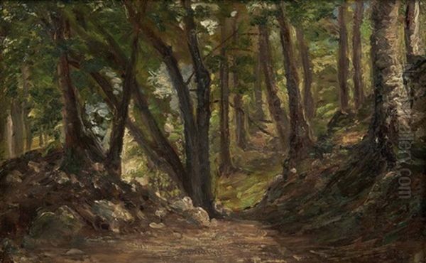 Chemin Dans Un Sous-bois - view 1