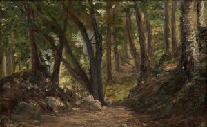 Chemin Dans Un Sous-bois by Andre Giroux
