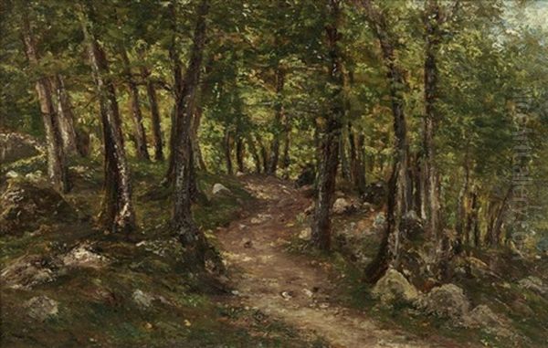 Chemin En Foret - view 1