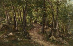 Chemin En Foret Chemin En Foret
