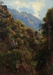 Paysage De Foret Et Montagne Paysage De Foret Et Montagne