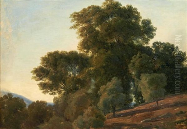 Paysage De Casaprola - view 1