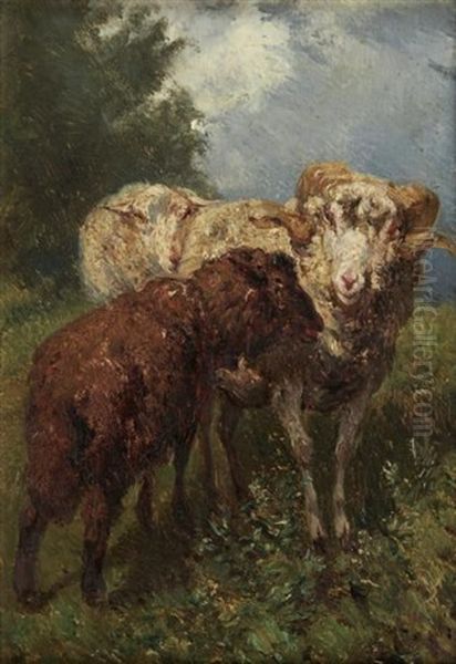 Les Moutons - view 1