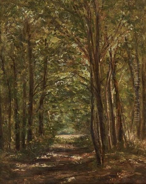Sous-bois - view 1