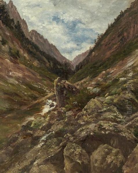 Paysage De Montagne En Ete - view 1