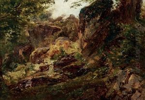 Rochers En Foret Rochers En Foret