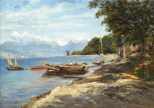 Barques Sur Un Lac De Montagne - view 1