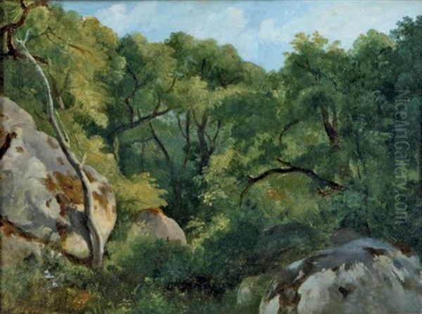 Paysage Aux Rochers Dans La Foret De Fontainebleau - view 1