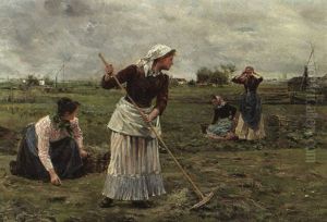Frauen Bei Der Feldarbeit