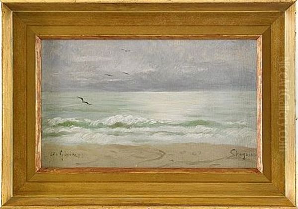 Strandbild Fran Skagen - view 1