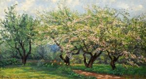 Blooming Apple Trees