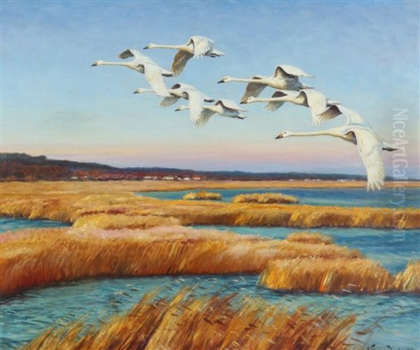 Scenery With Flying Swans - view 1