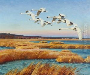 Scenery With Flying Swans by William Gislander