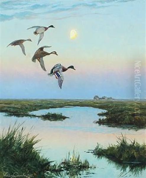 Moorland Scenery With Ducks In The Moonlight - view 1