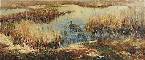 A Duck With Ducklings In A Pond - view 1