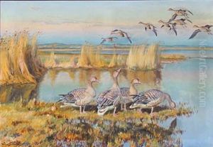 Summer Evening With Geese At A Coast by William Gislander