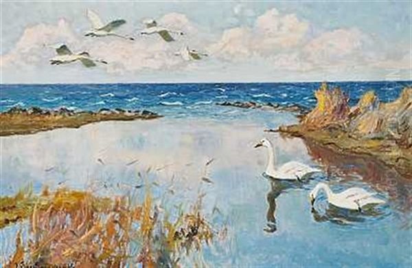 Svaner Ved Kysten - view 1