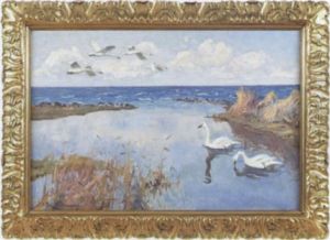 Svanar I Strandkant