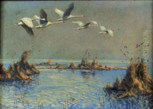 Flygande Svanar