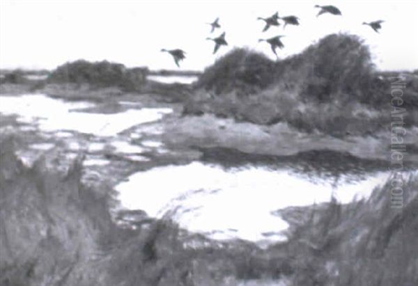 Flyvende +nder Over Saltholm - view 1