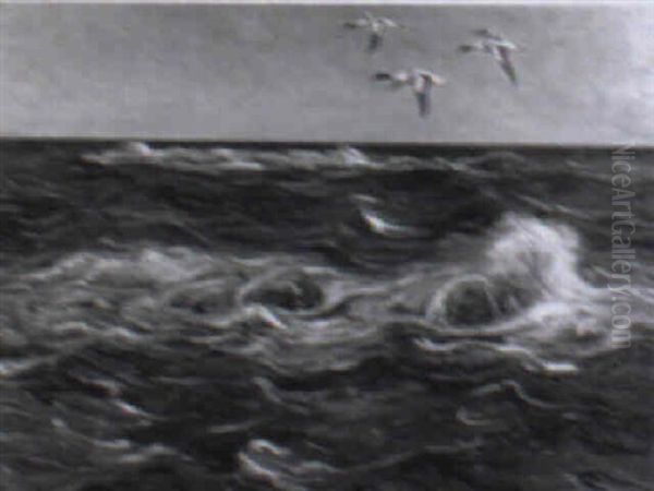 Sjofaglar Over Hav - view 1