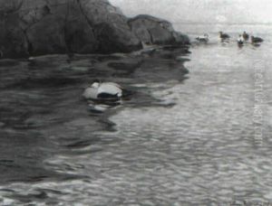 Sj"f+glar Vid Klippig Kust, Eftermiddagssol Sj"f+glar Vid Klippig Kust, Eftermiddagssol