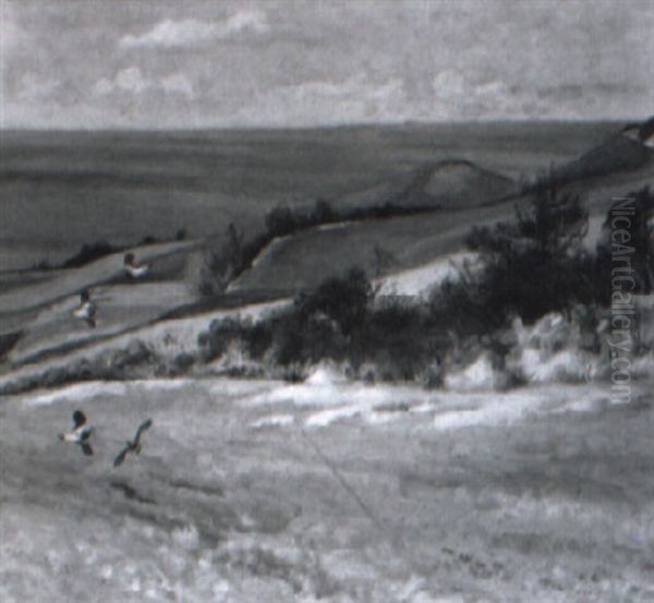 Tofsvipor I Varvinterlandskap - view 1