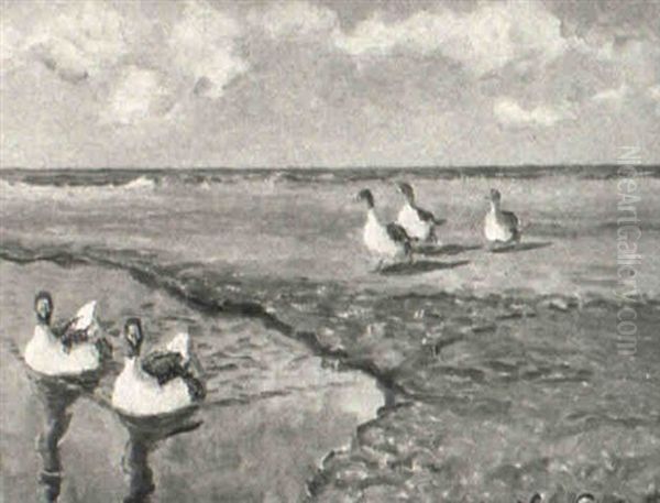 G,ss Pa Flommen - view 1