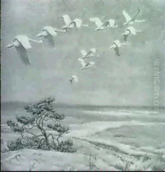 Svanetraek Ved Vintertide - view 1