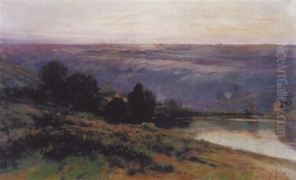 Heidelandschaft - view 1