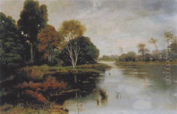 Herbstliche Flusslandschaft - view 1