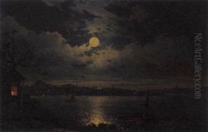 The Bosphorus By Moonlight