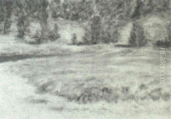 Landscape - view 1