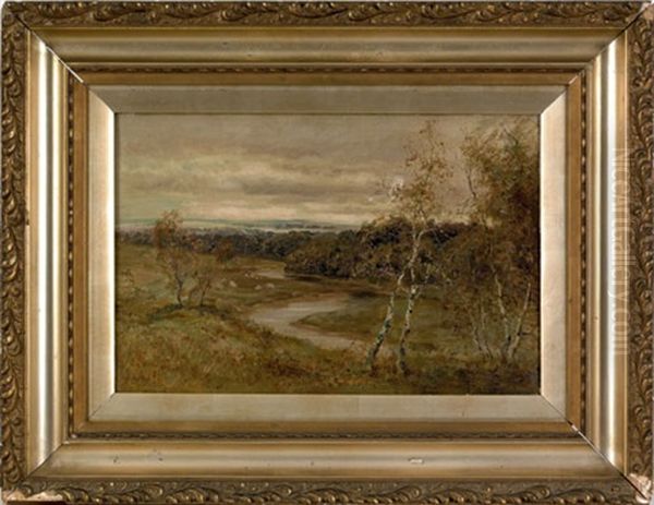 Landscape - view 1