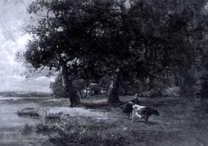 Shady River Bank Shady River Bank
