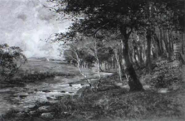 A Spring Day On The Whitadder - view 1