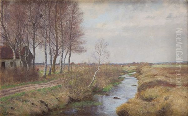 Birches By Stream - view 1