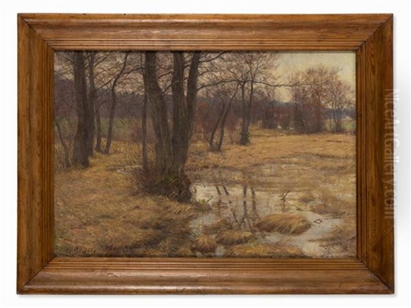Dachauer Moos In Autumn - view 1
